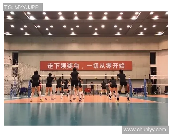 从零开始：排球配合完全攻略