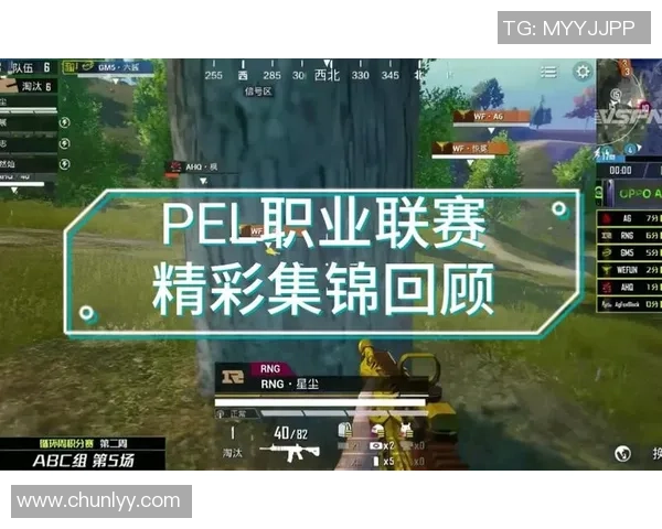 热议和平精英：RNG的心理素质变革